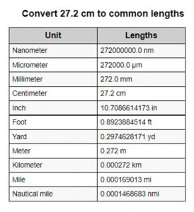 convert 27.2cm