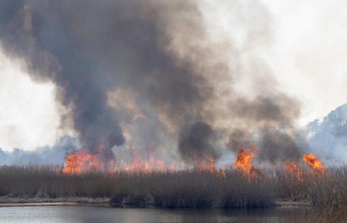 Wildfire smoke write for us