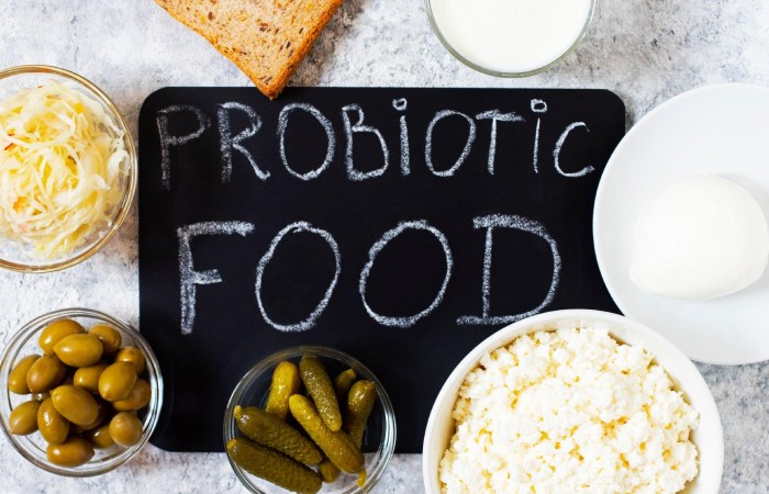 Probiotics Write for Us