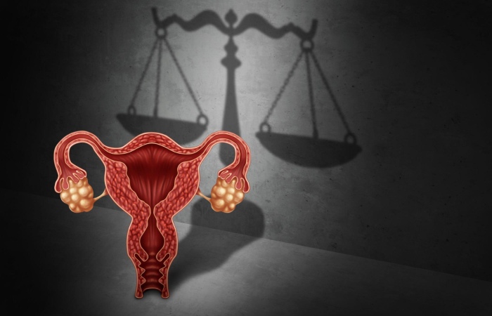 How Does the CDC Define Abortion Surveillance?