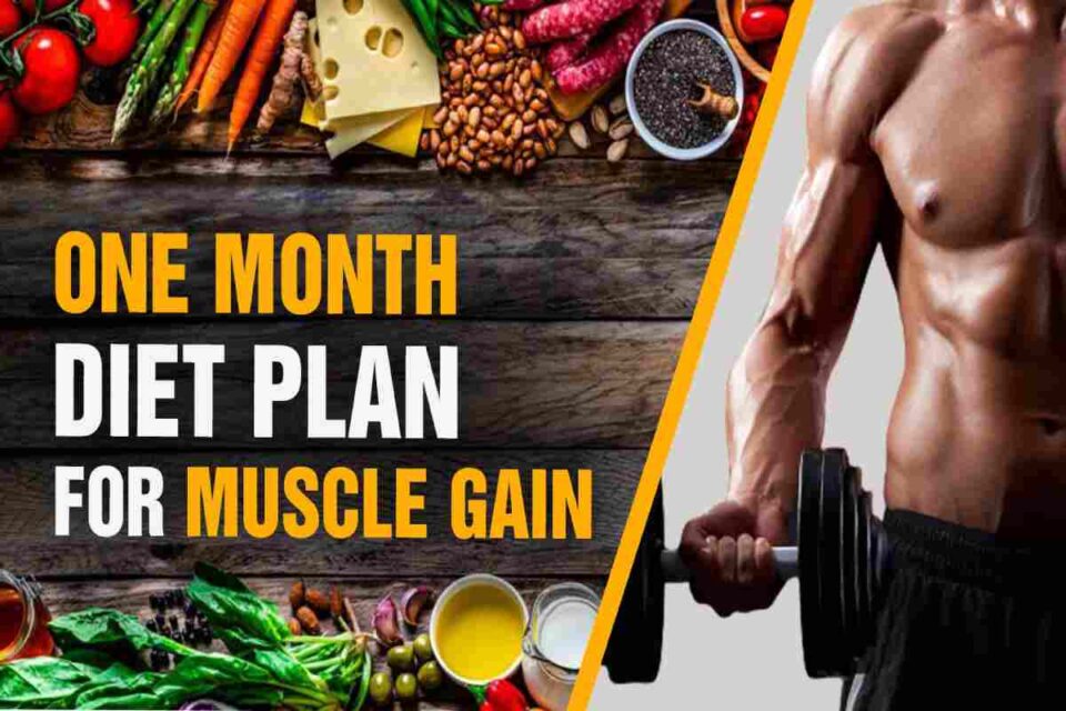 How to Gain Muscle on Diet