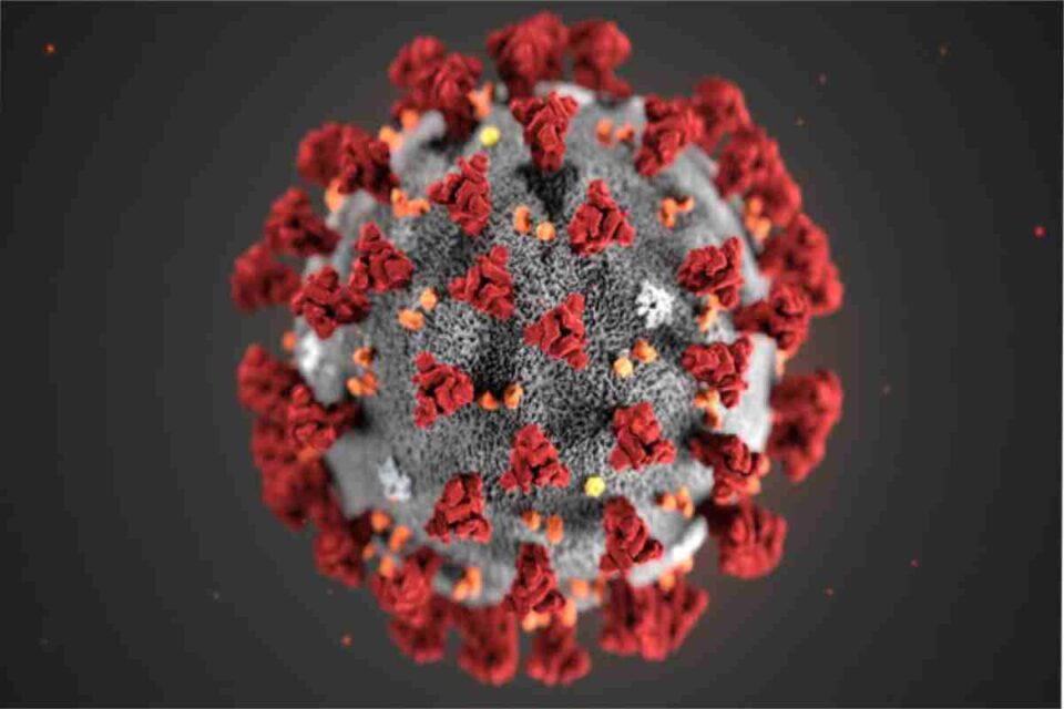 coronavirus