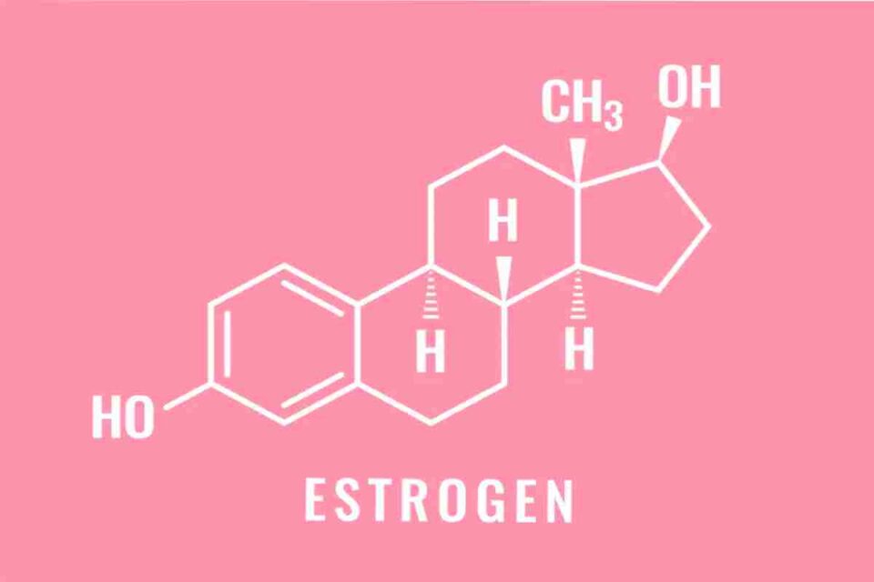 Estrogen