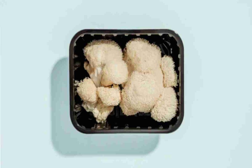 Mind Over Matter_ How Lion's Mane Mushrooms Unlock Peak Brain Performance and Vitality