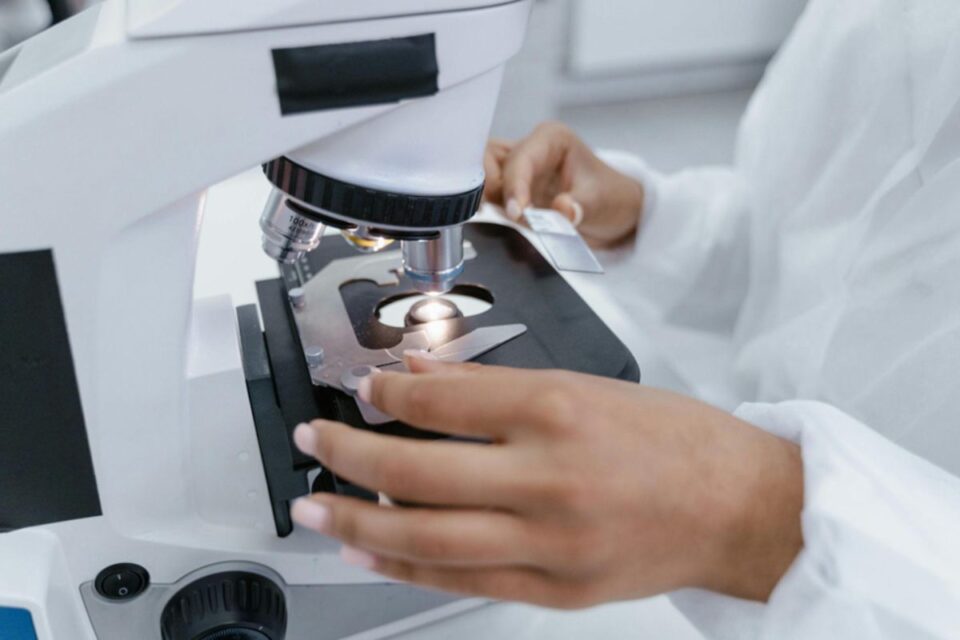 Single Cell Genomics