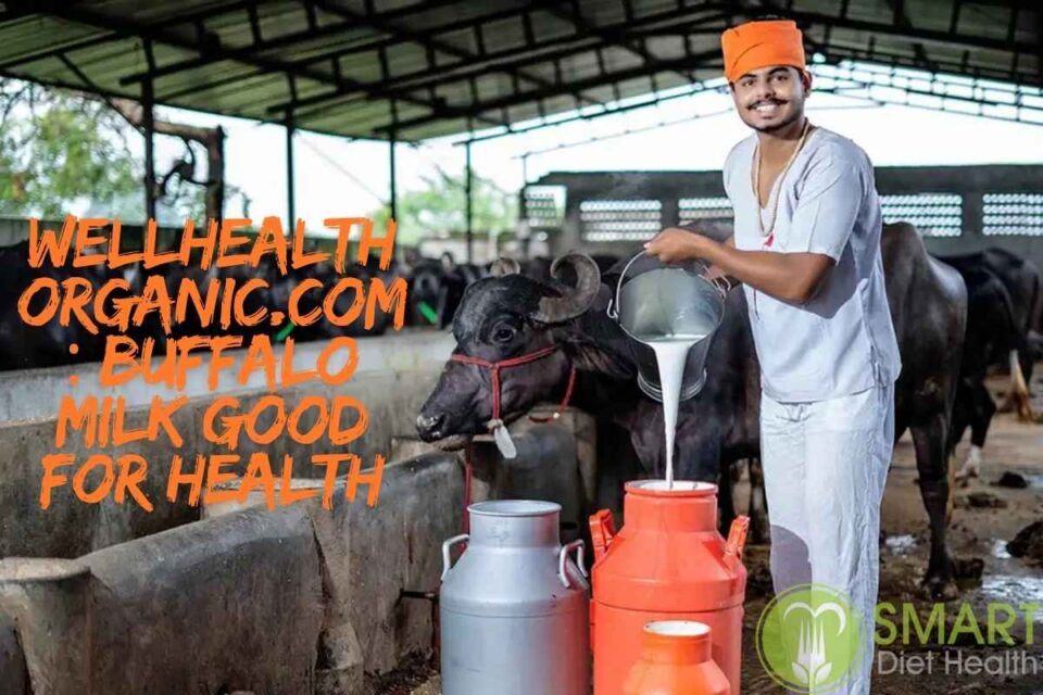 wellhealthorganic.com buffalo milk good for health